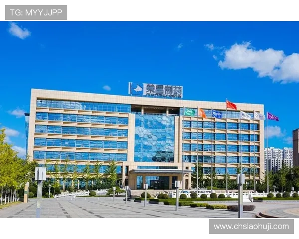 凯发集团网站安全保障措施详解确保玩家个人信息与资金安全的最佳实践