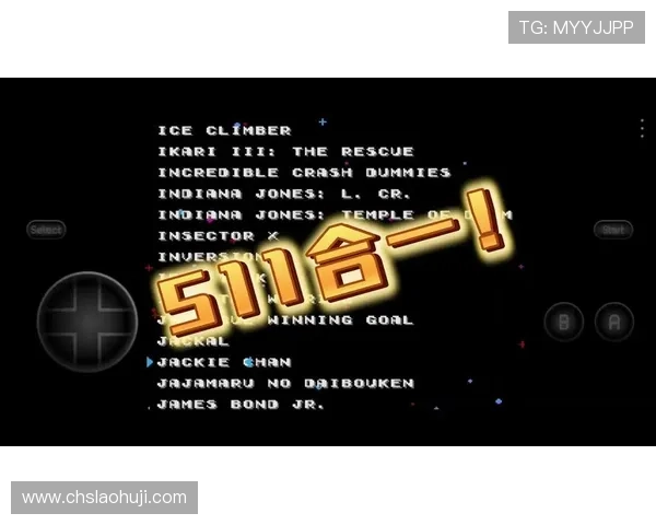 2024年最受欢迎的fc游戏rom排行榜，满足不同玩家的收藏与体验需求