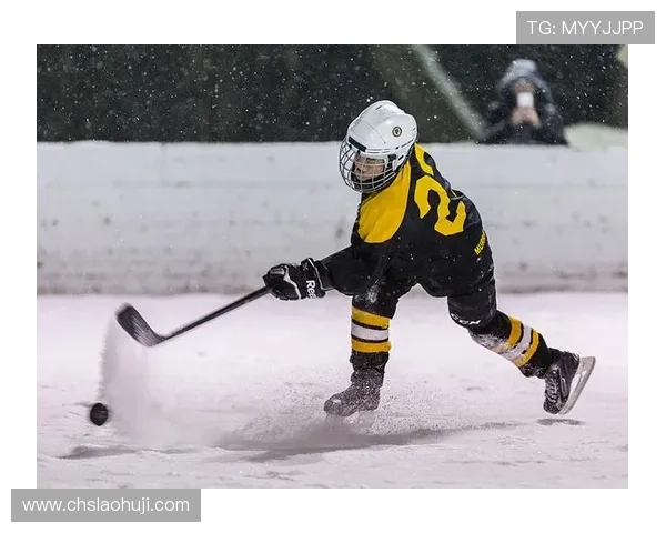 冰球突破豪华版游戏平台的特色玩法介绍,丰富多样的游戏模式等你来挑战 冰球突破豪华版游戏平台的特色玩法介绍,丰富多样的游戏模式等你来挑战