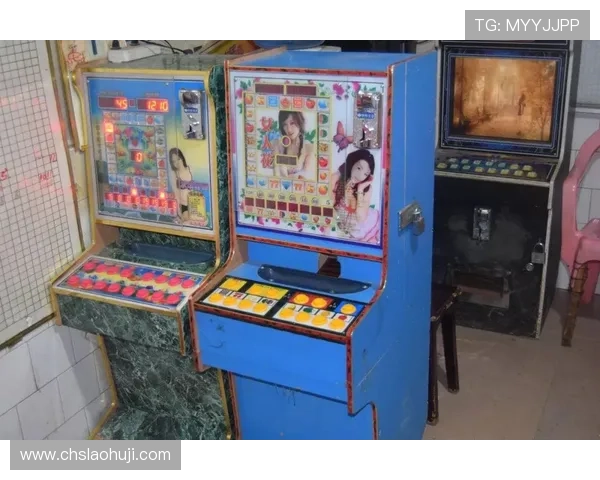 老虎机电脑板的结构组成与工作原理深入分析如何选择优质的老虎机电脑板以保证游戏的稳定性与安全性