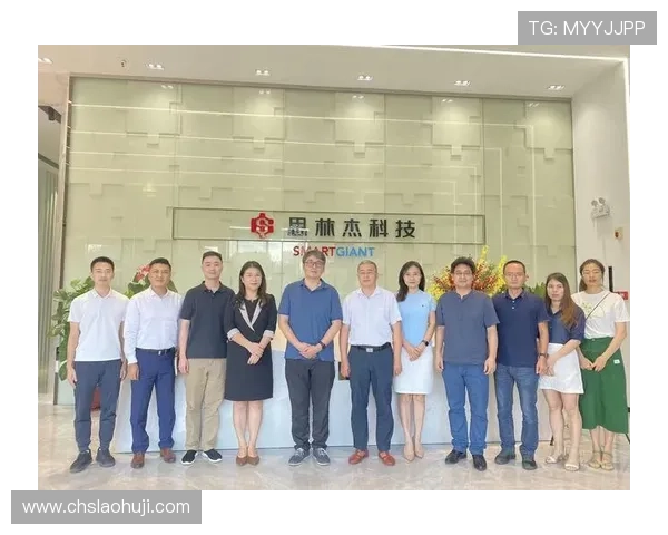 多宝游戏公司在行业中的竞争优势与创新能力深度剖析